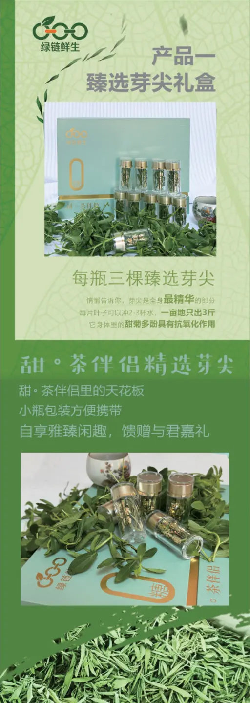 产品手册第 4 页